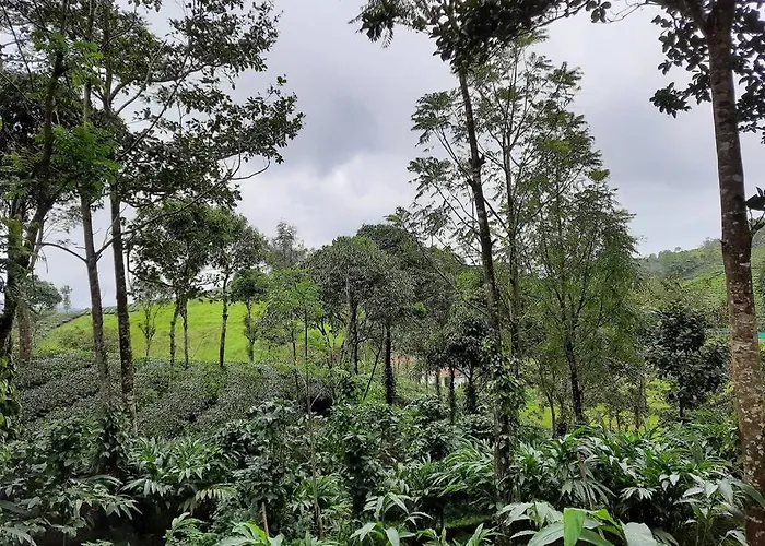 Farmstay In ചില്ലുകൂടാരം At Les Domki Et Al.