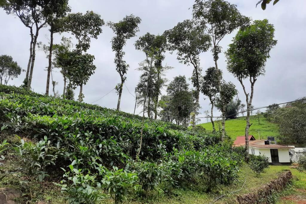 Holiday home In ചില്ലുകൂടാരം At Les Et Al. Vagamon