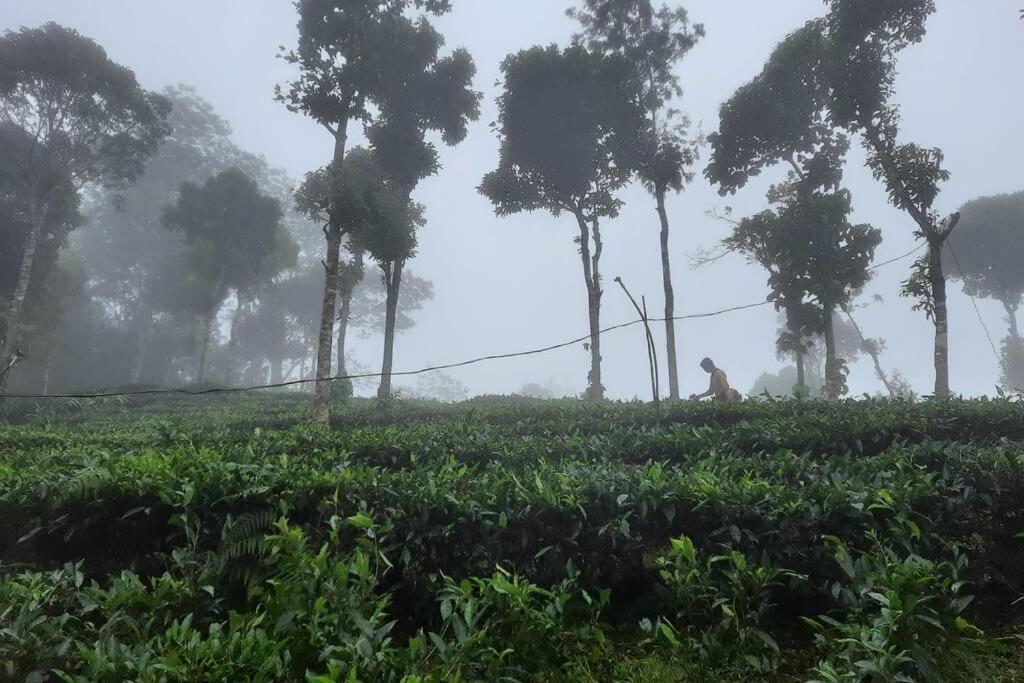 In ചില്ലുകൂടാരം At Les Et Al. * Vagamon