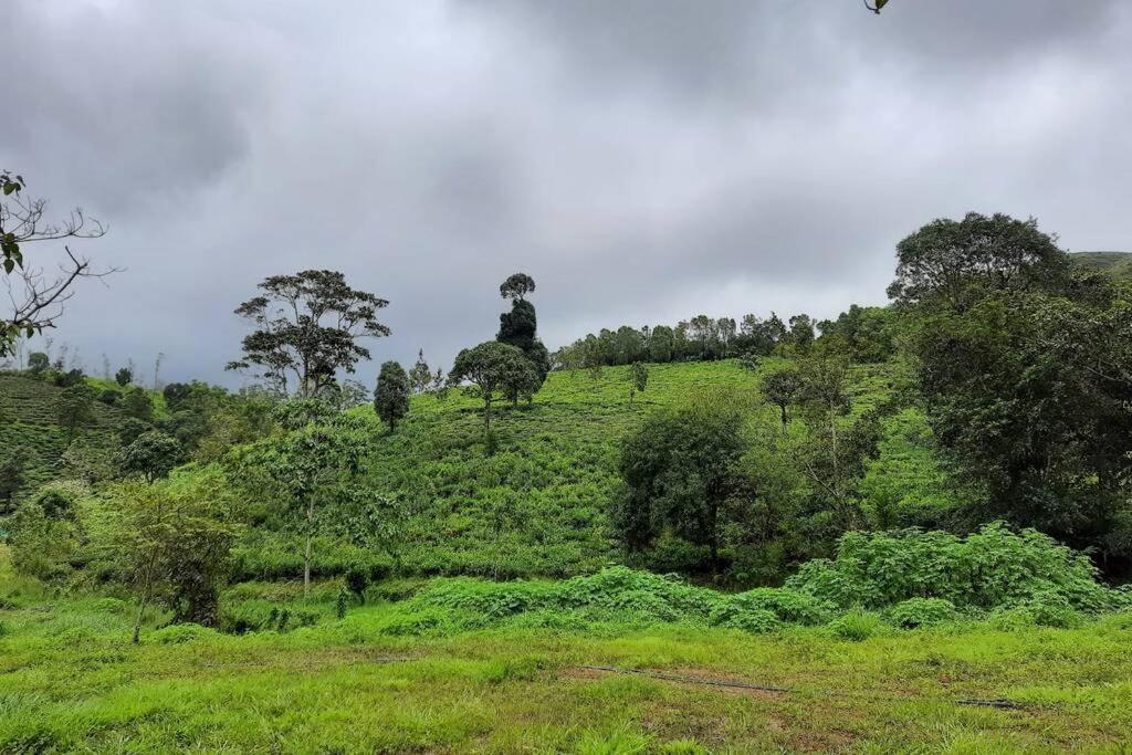 In ചില്ലുകൂടാരം At Les Et Al. Vagamon