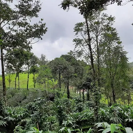 Farmstay In ചില്ലുകൂടാരം At Les Domki Et Al. Vagamon Exterior photo