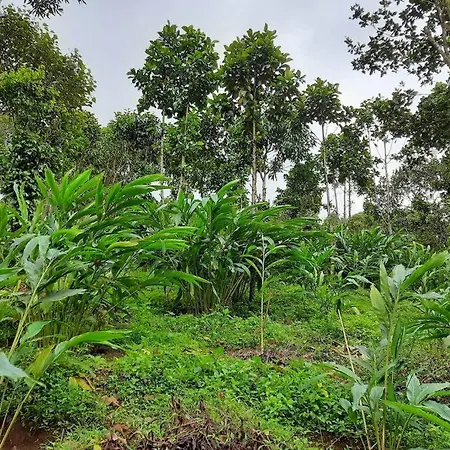Farmstay In ചില്ലുകൂടാരം At Les Domki Et Al. Vagamon Exterior photo
